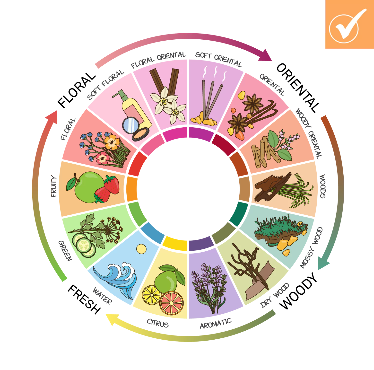 fragrance wheel with all main fragrance types