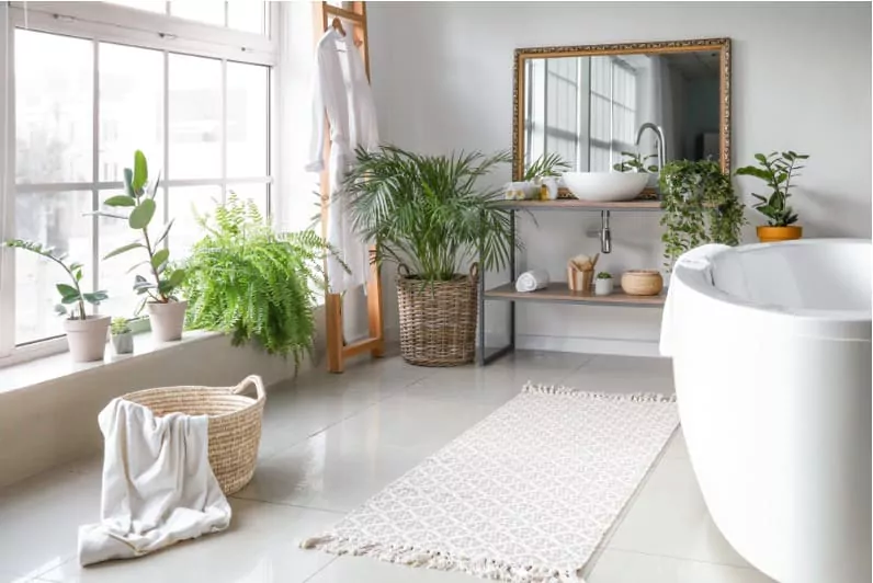 stylish interior of bathroom with green indoor plants