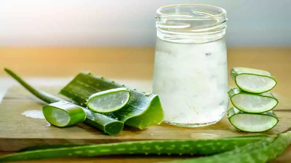 fresh aloe vera leaves and glass of aloe vera juice on wooden background