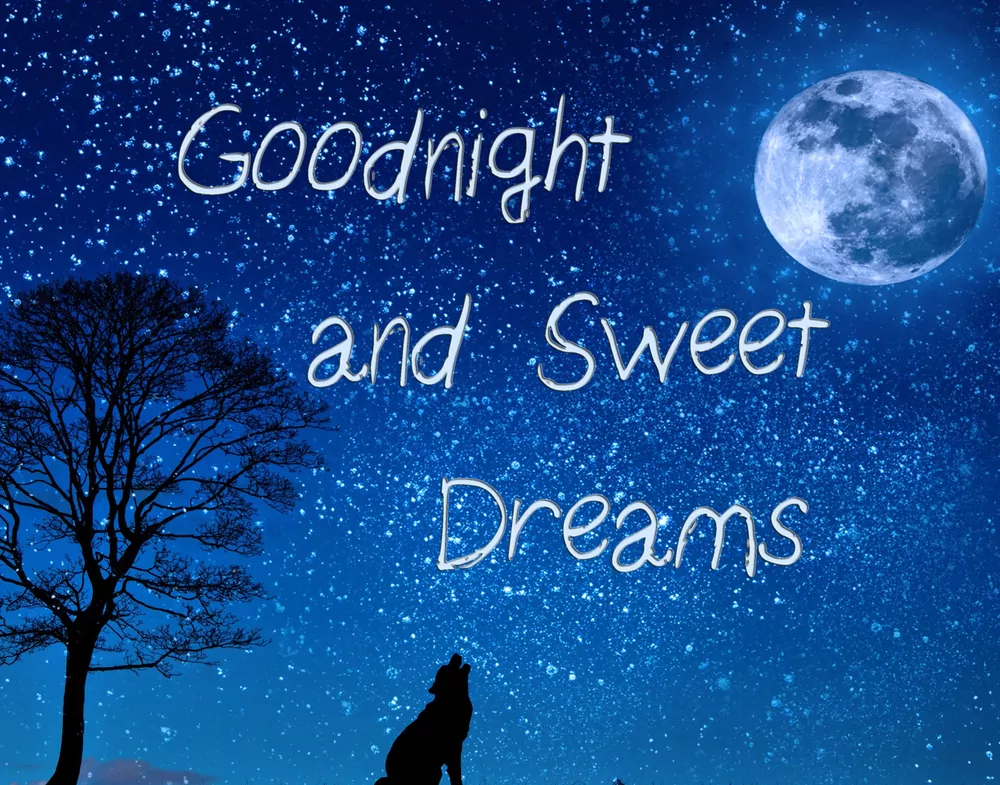 Night Night, Sweet Dreams
