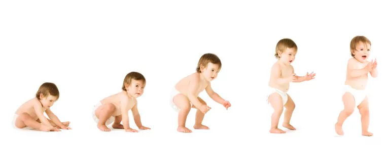 different stages of a baby growing