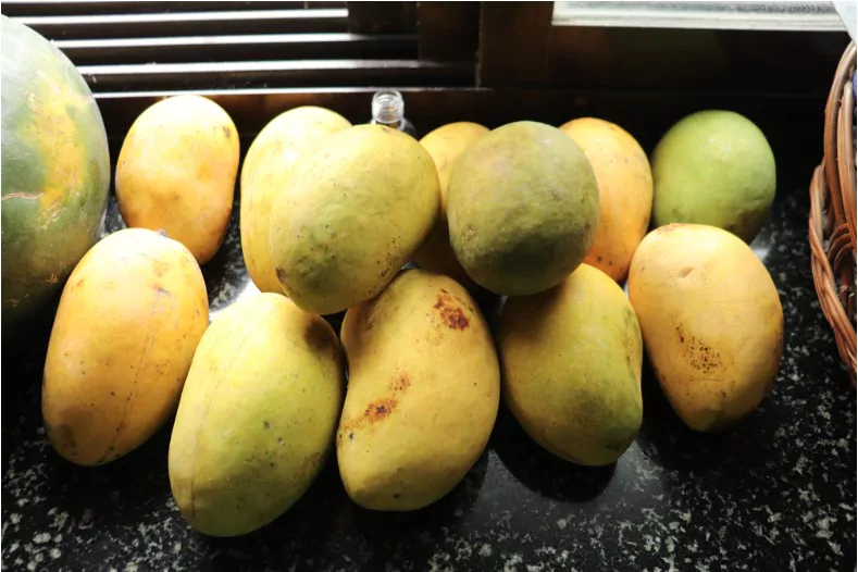 chausa mangoes