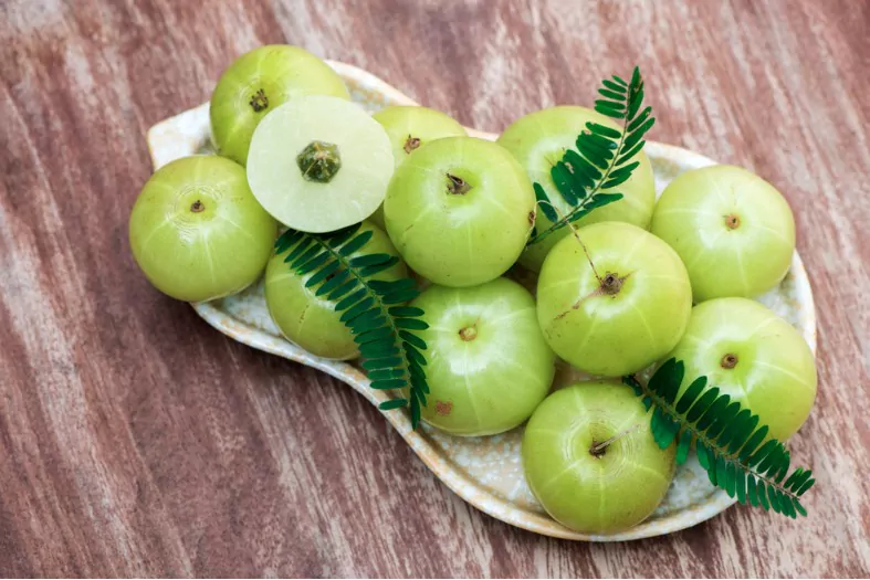 indian gooseberry or amla fresh fruits have medicinal properties and on old wood background
