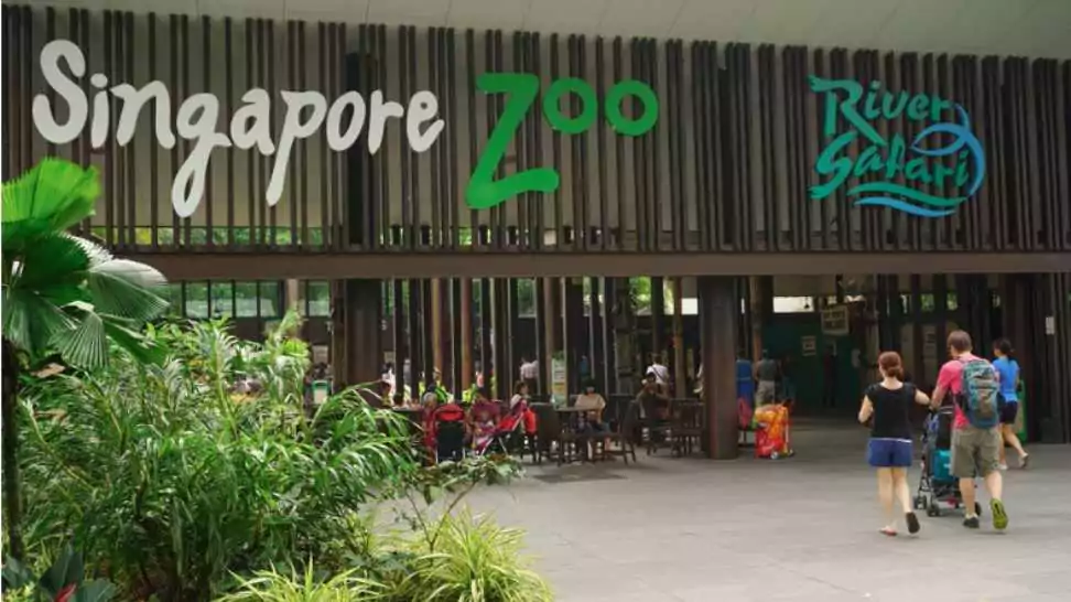 entrance to singapore zoo