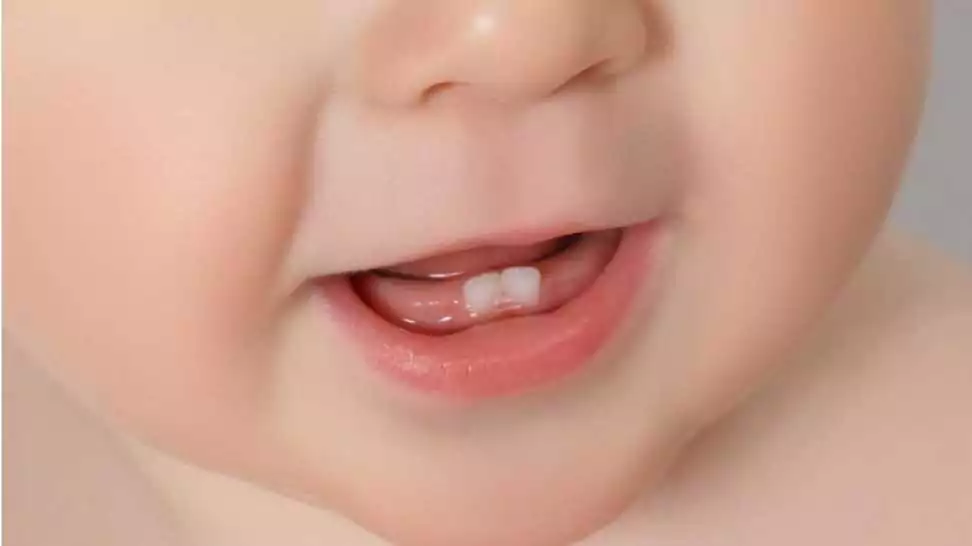 close-up of baby mouth with two baby teeth