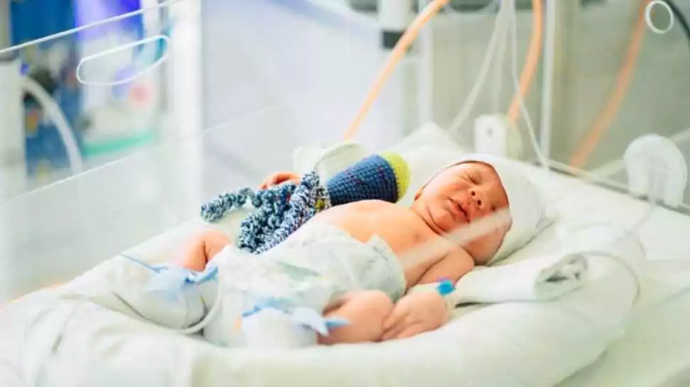 two day old newborn baby boy in intensive care unit in a medical incubator