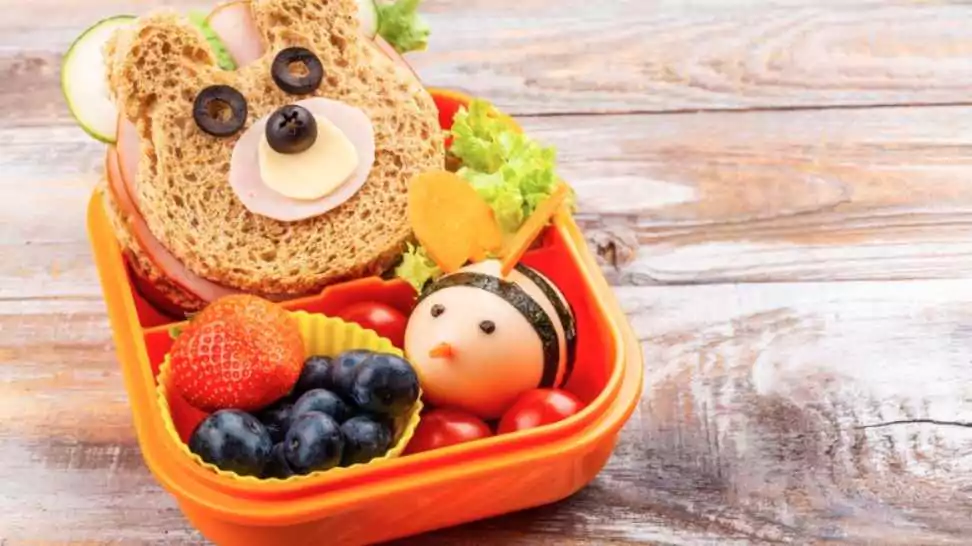 kids lunch box with funny bear sandwich