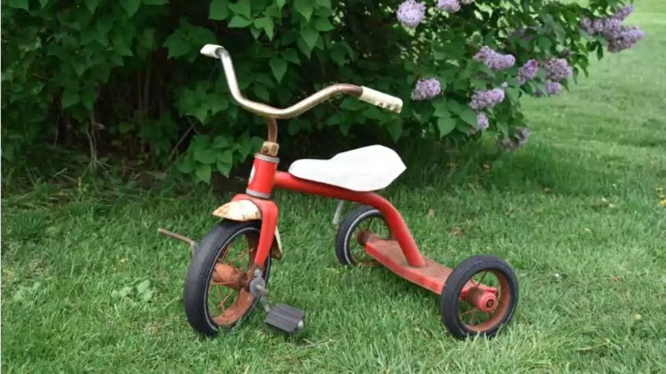 tricycle by a lilac bush