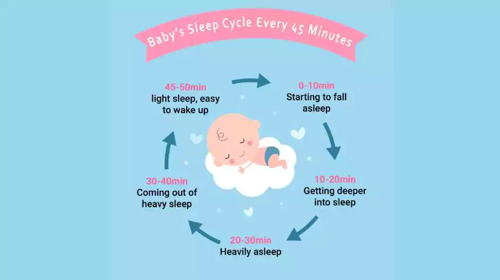 baby sleep cycle every 45 minutes