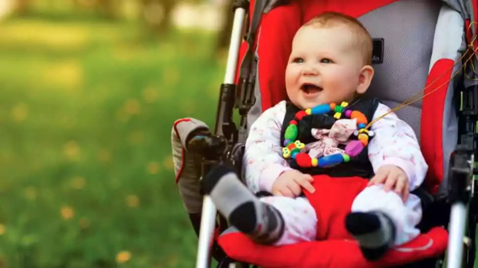 baby in sitting stroller on nature