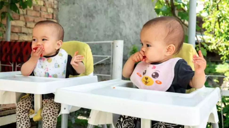twin babies eating strawberry and wearing bibs while sitting on high chair